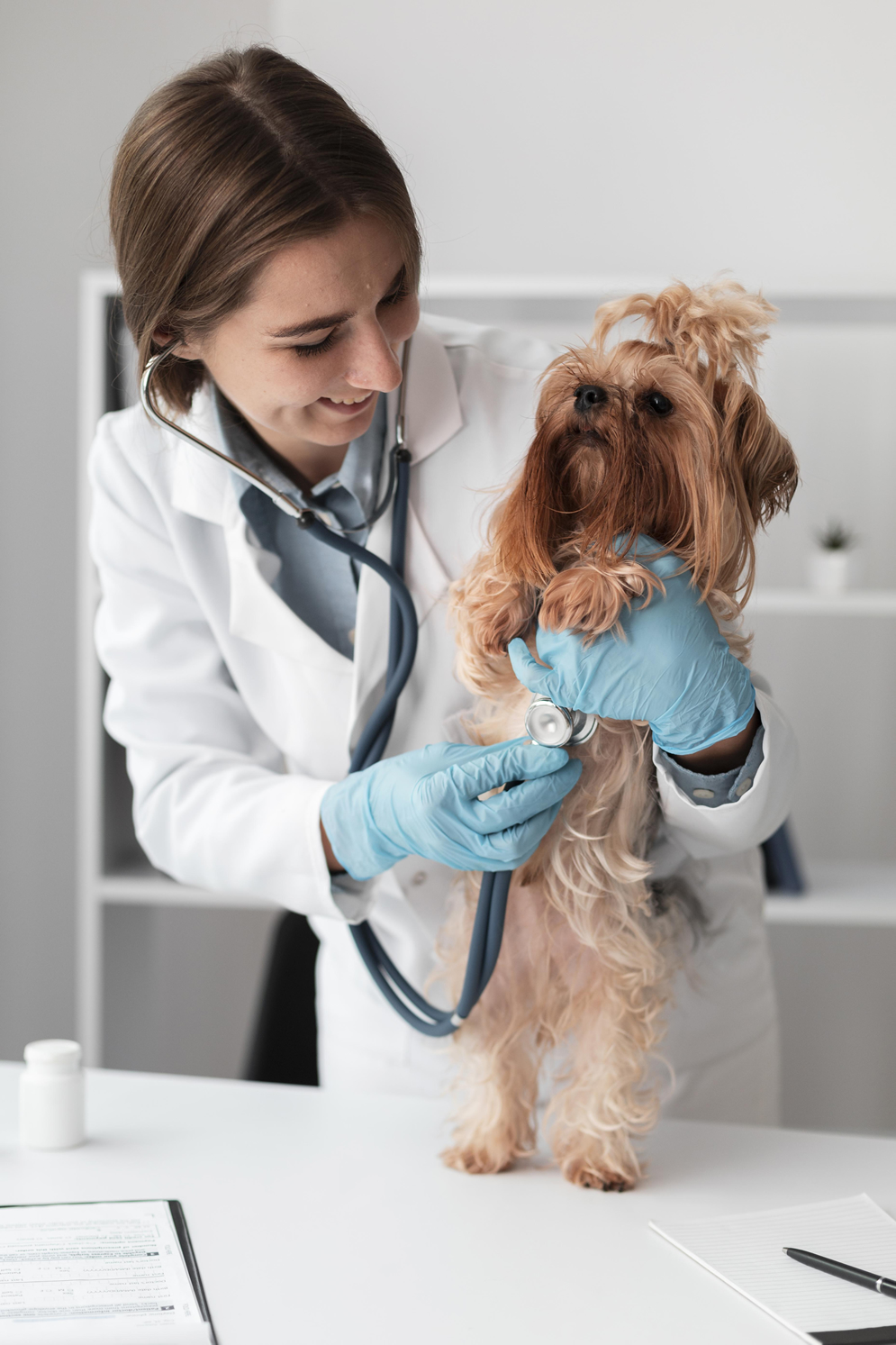veterinaria con perrito